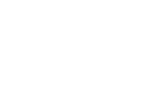 VVolfy Metal Works